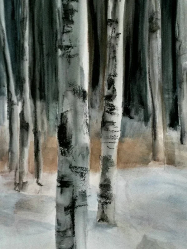 birch trees.jpg