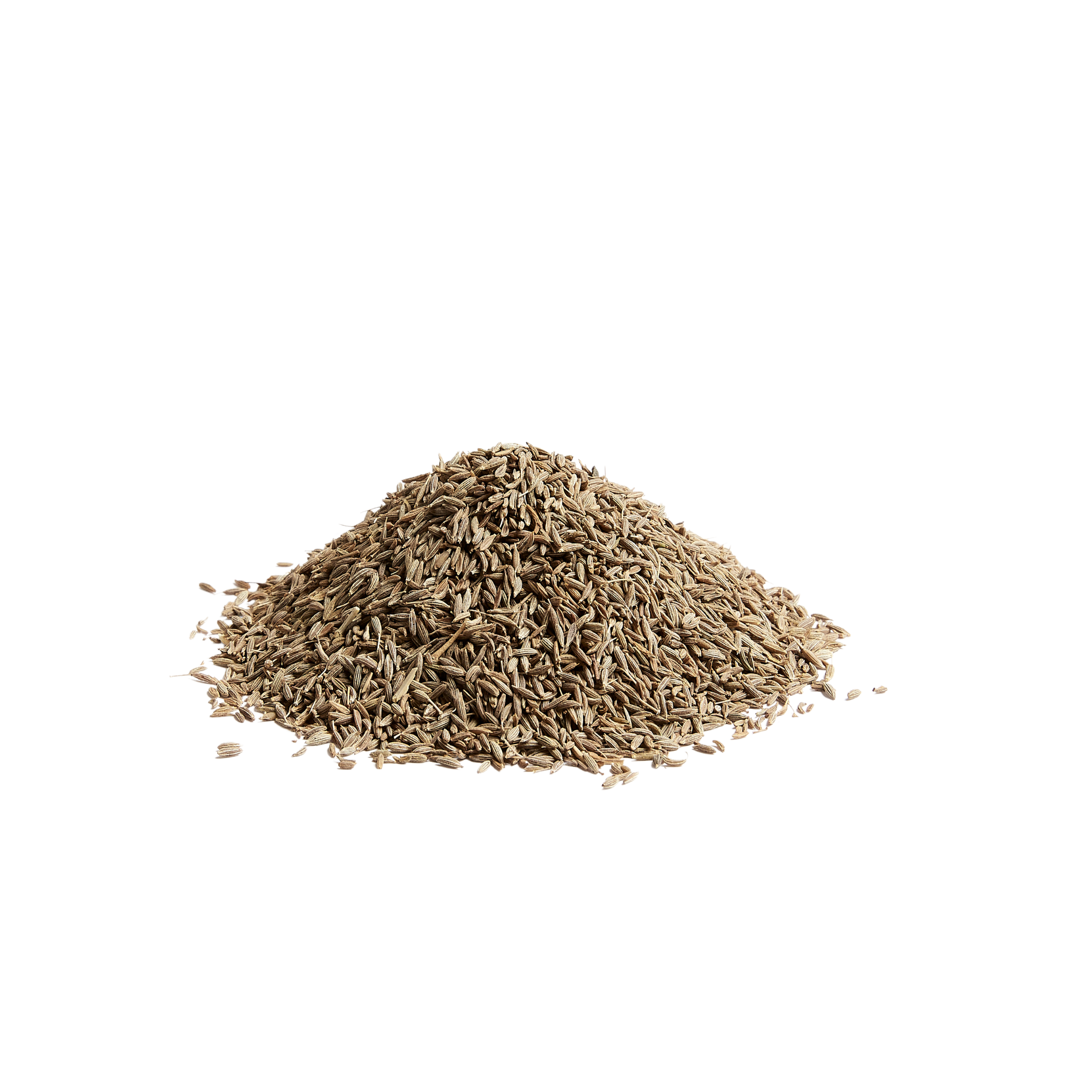 CUMIN SEEDS