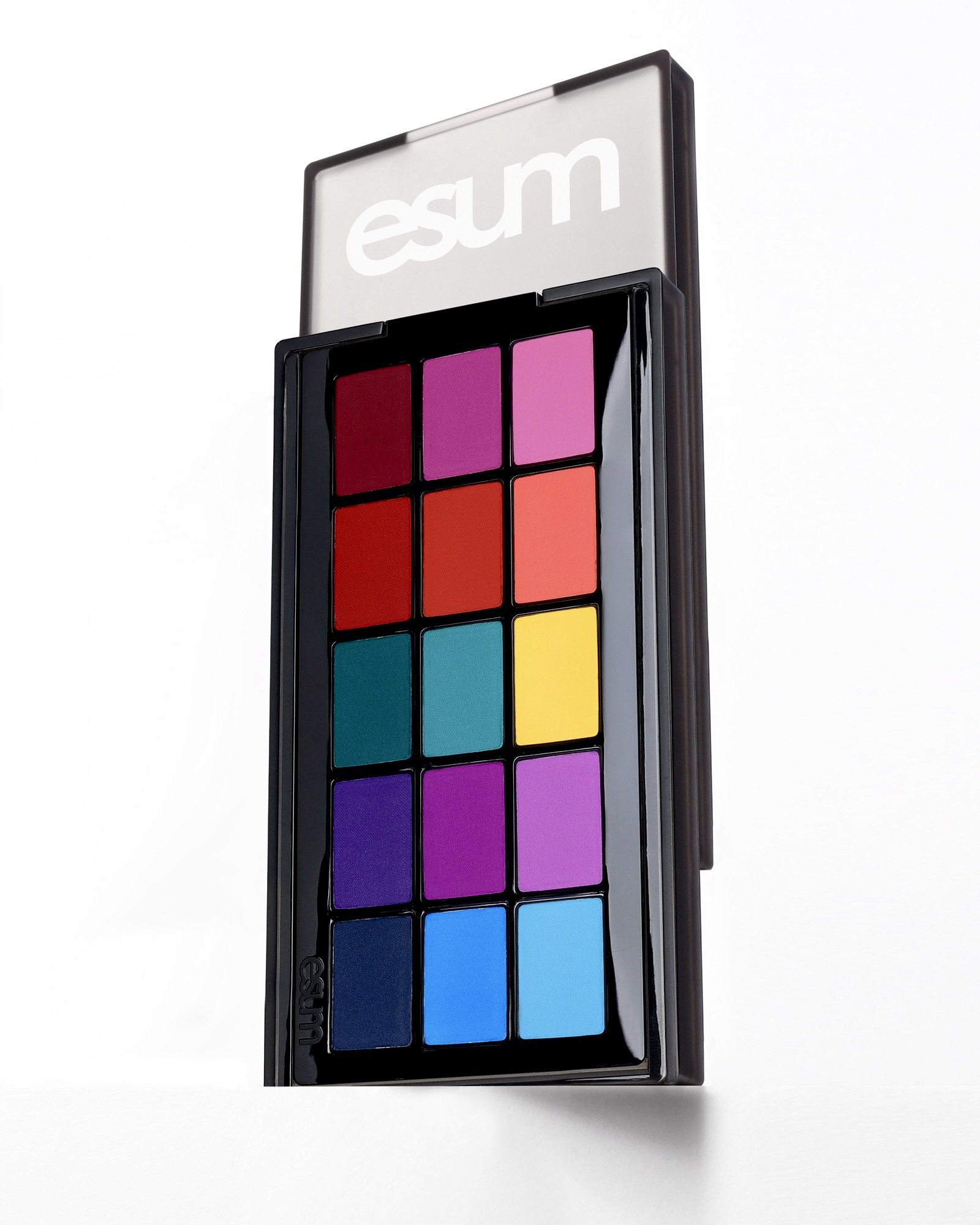 ESUM The Artistry Pigment Palette - No5 TRANSFORM Launch 2025