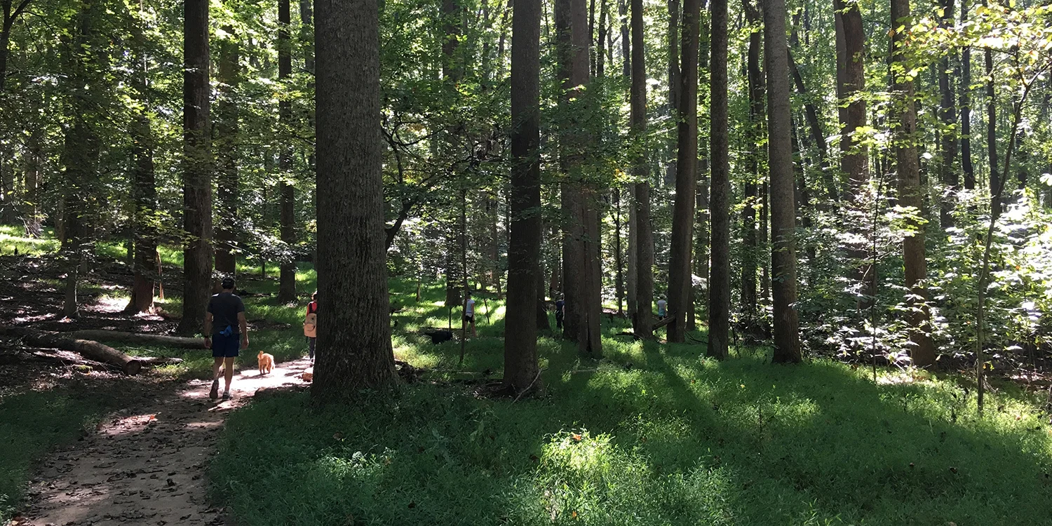 Outdoor hiking meet-ups near Washington, D.C.