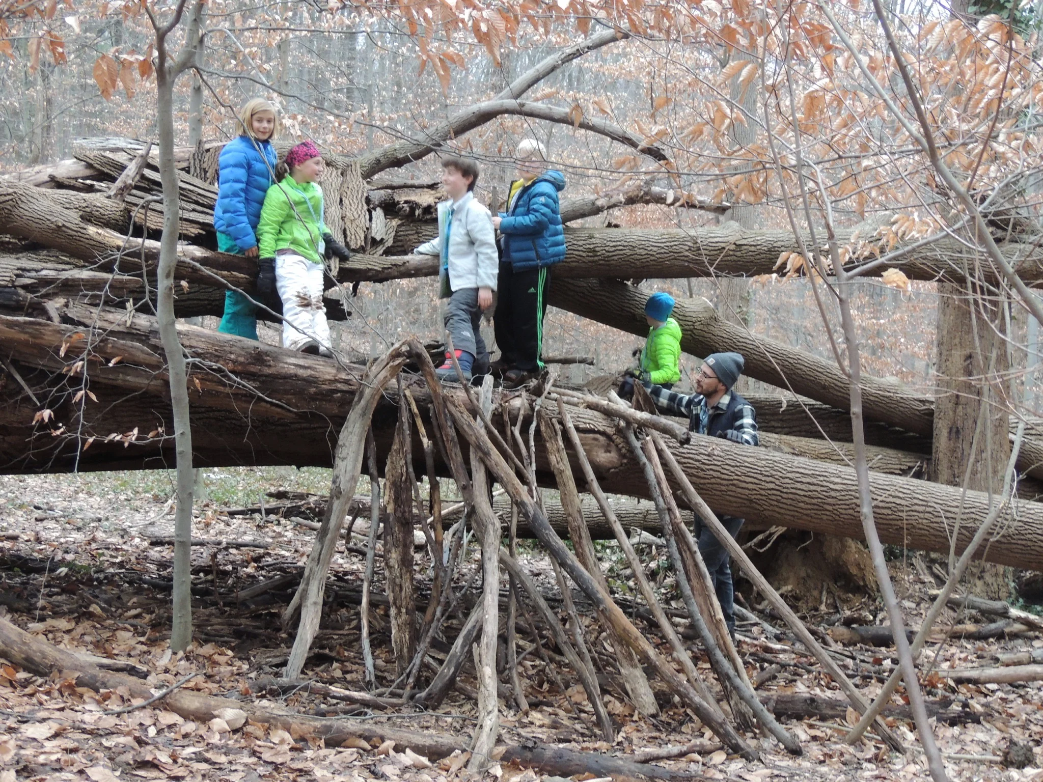 Winter programs for kids in D.C.