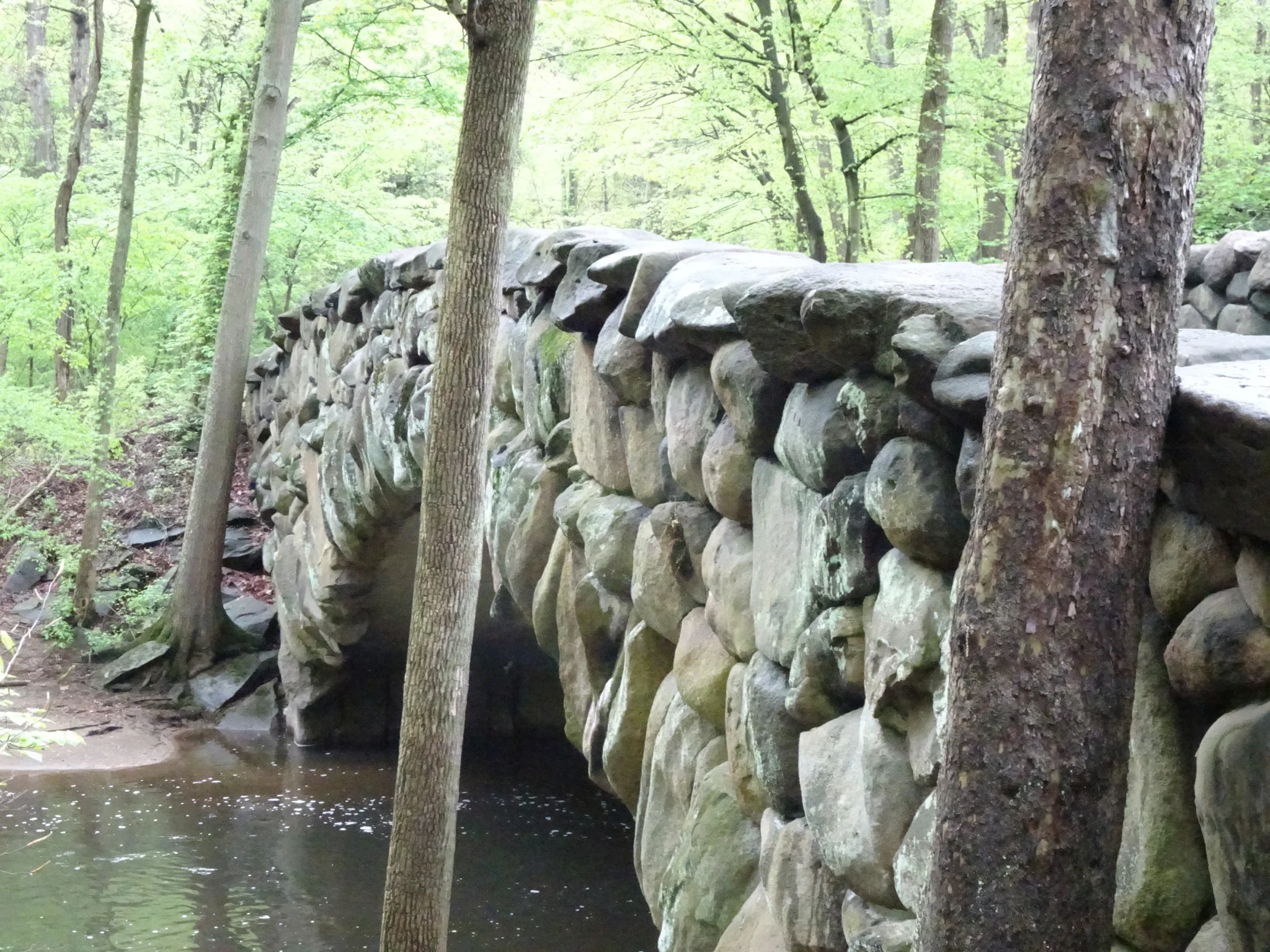 Hike around D.C. with The Elements D.C.