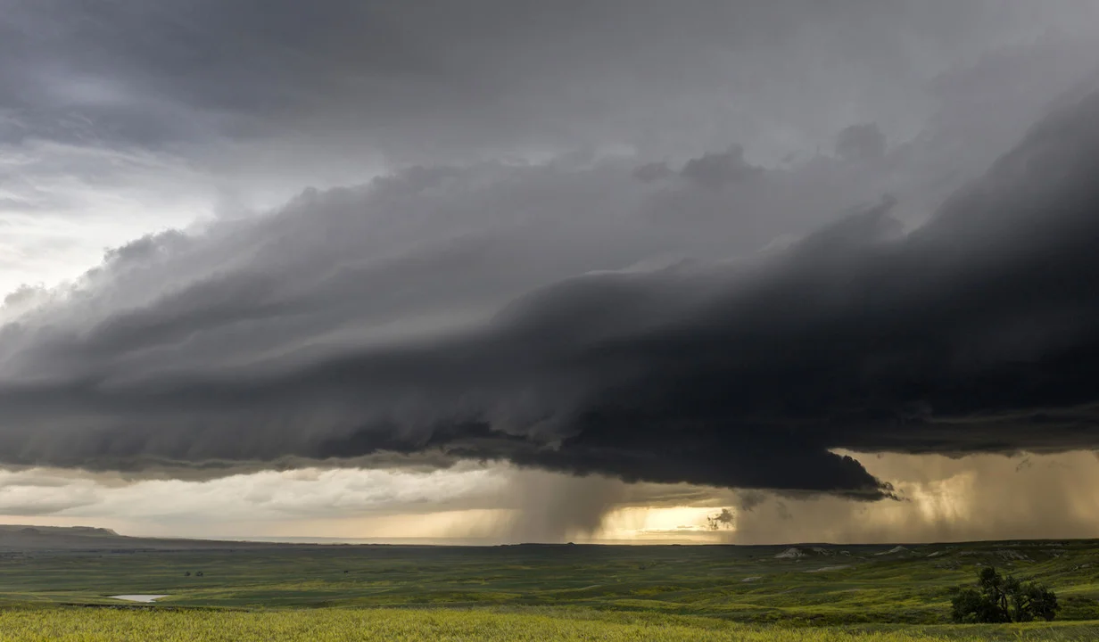 Image from 16K video wins stills competition