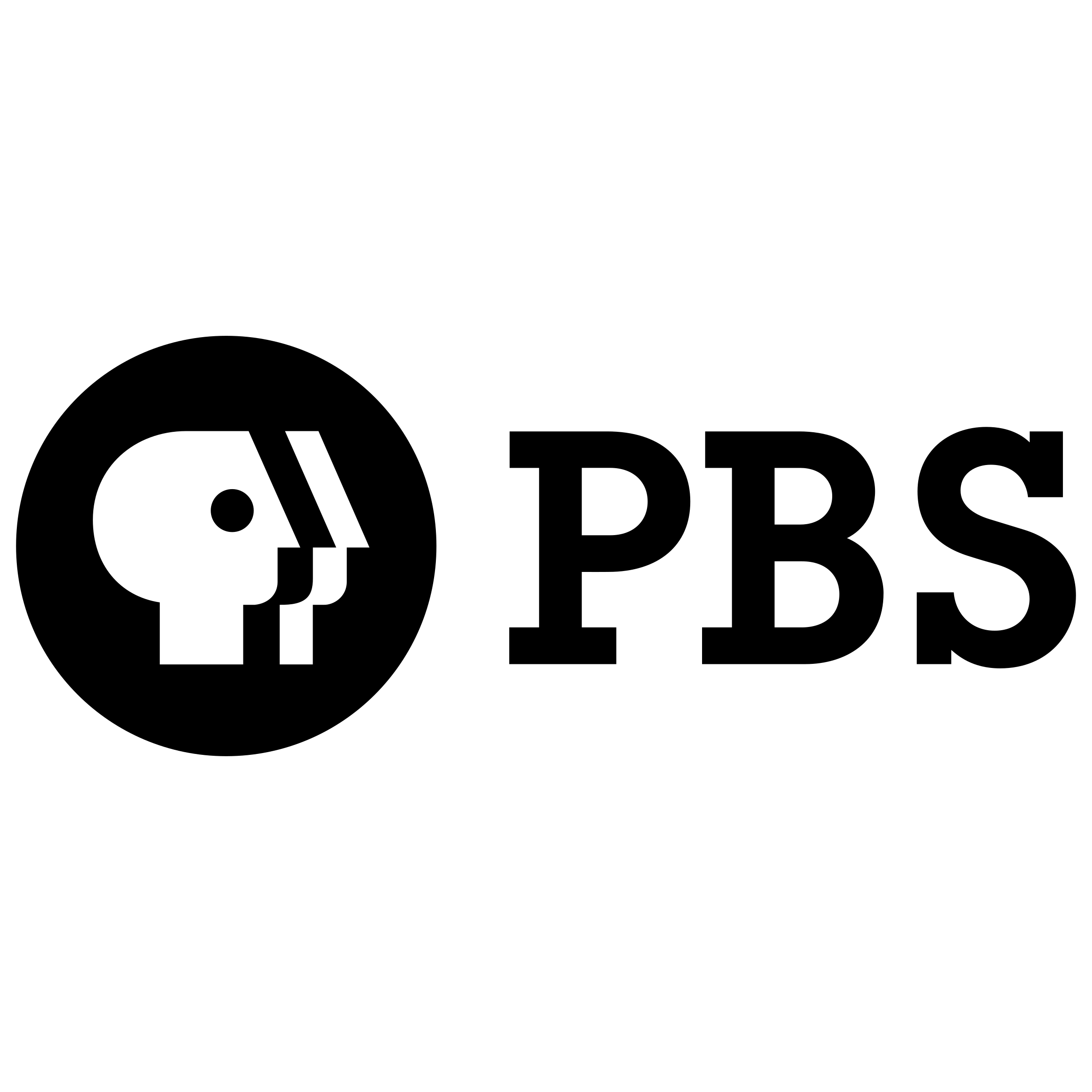 PBS Logo - StormStock.png