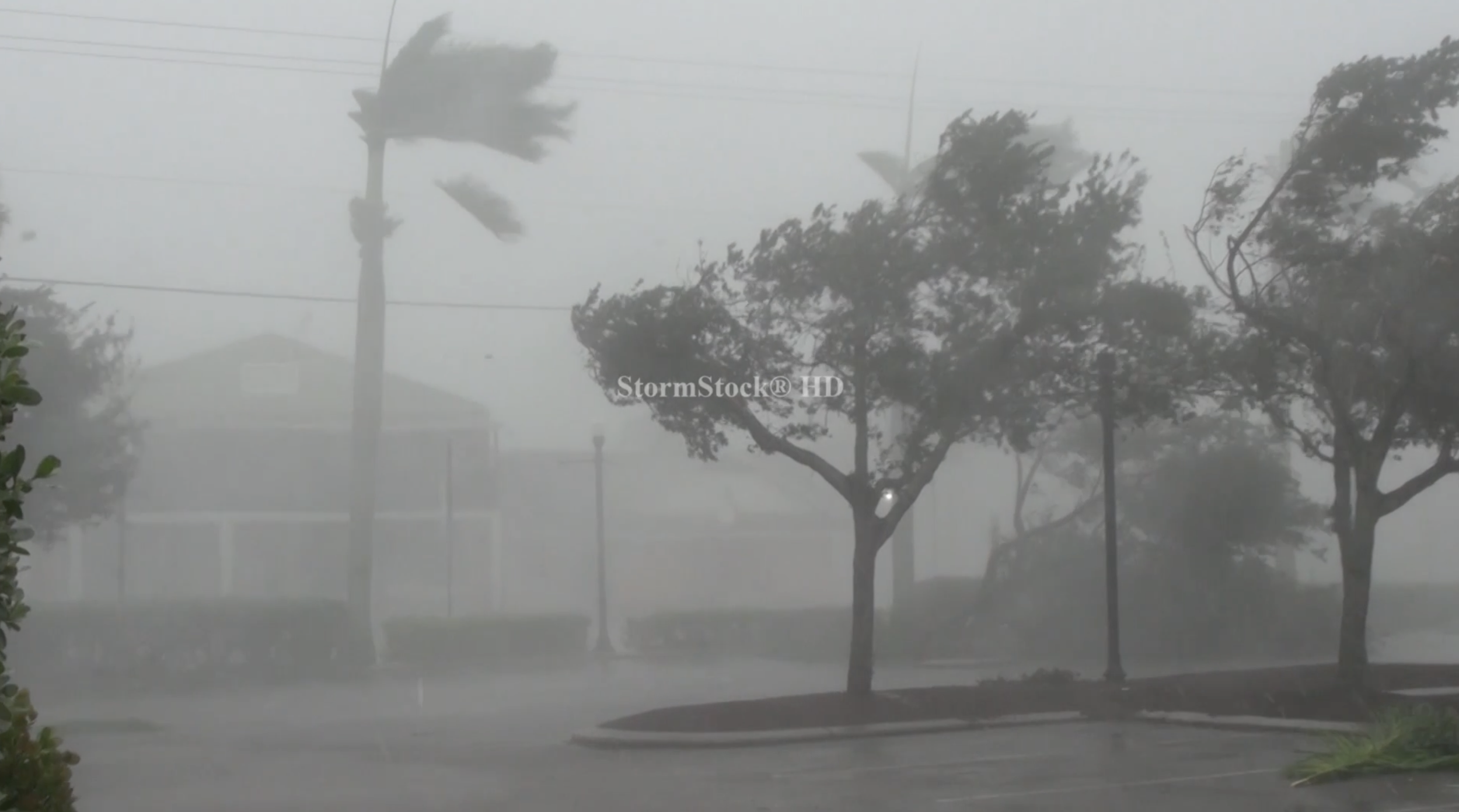 Intense winds tear through city during Hurricane Ian