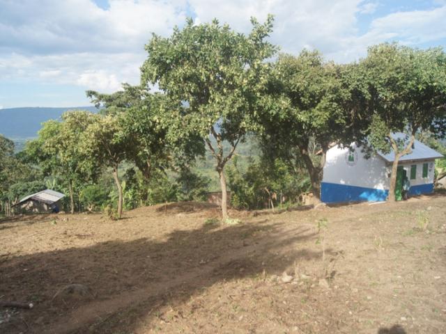 Our school is nestled on the side of Mt. Elgon