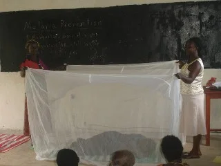 New Program: The Malaria Operation