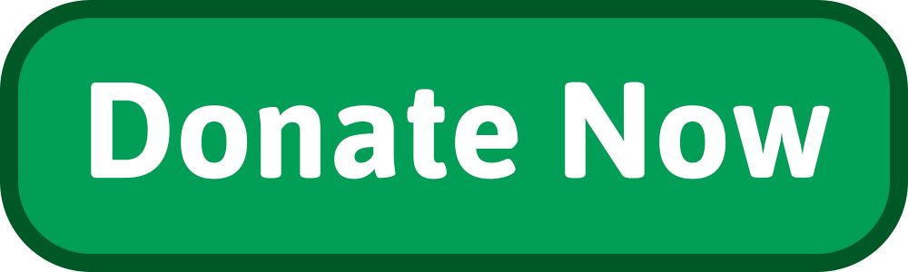5_Donate-now-button.png