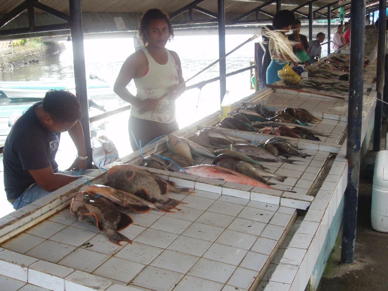 Fish Market