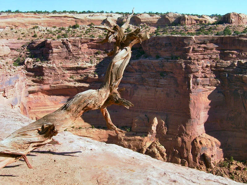 Canyon View