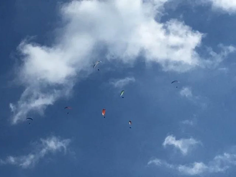 Paragliders