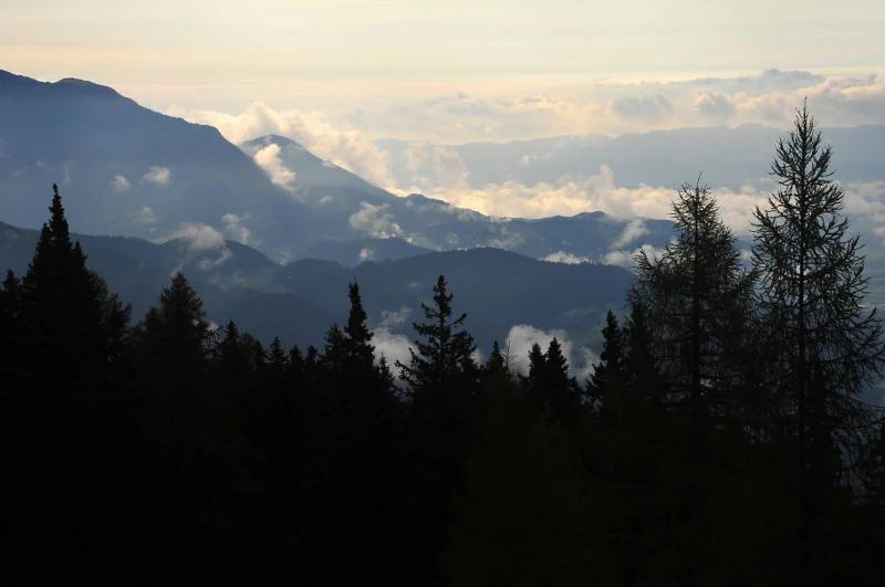 Ridges in Fog