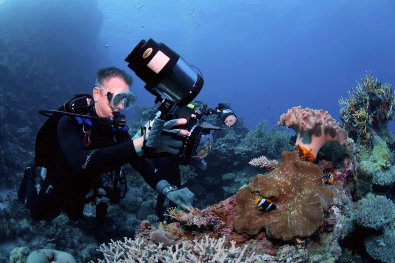 Steve Photographing