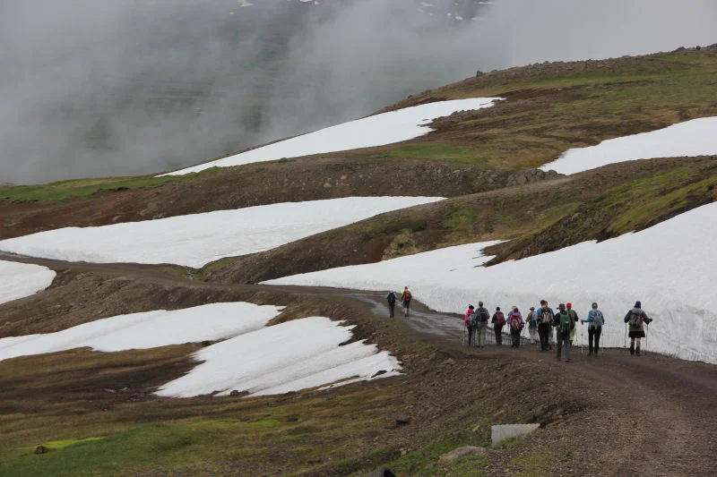 Entering the Valley of Fog