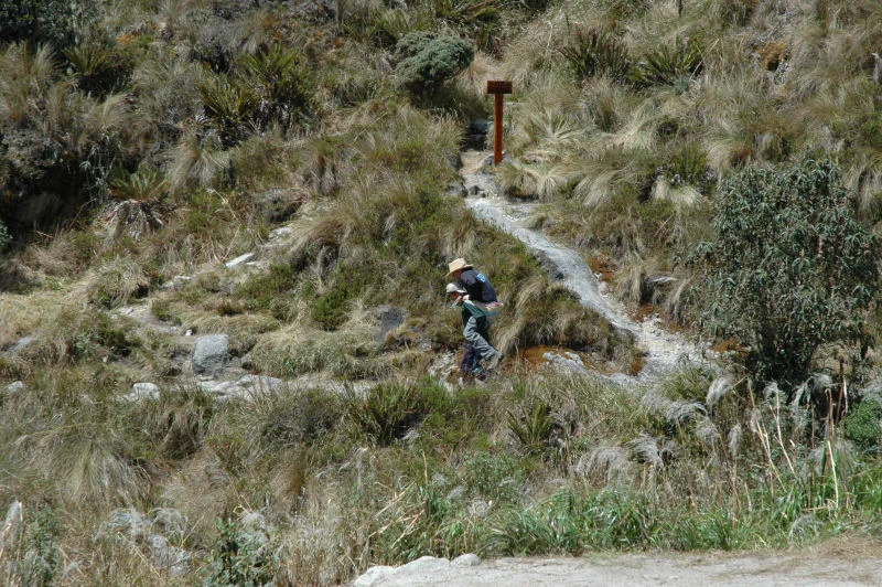 Injured Hiker