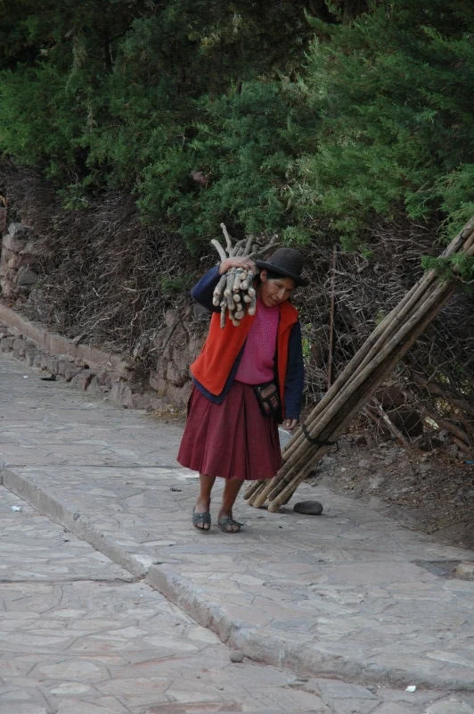Carrying Sticks