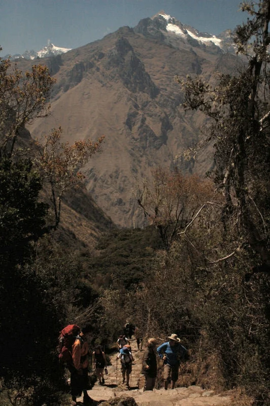 Inca Trail Backdrop