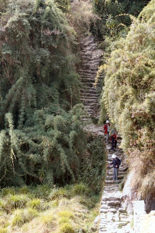 The Long Descent