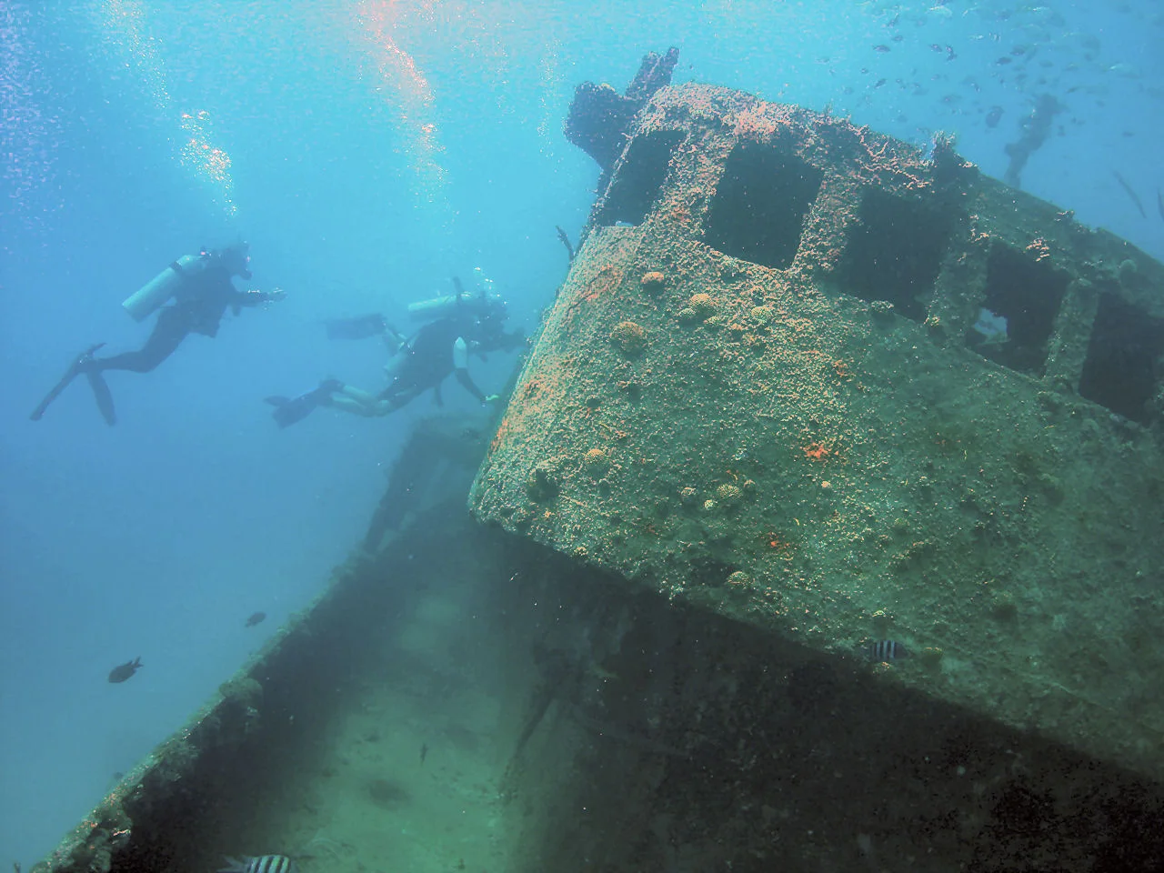 Carlyle Bay Wreck Diving