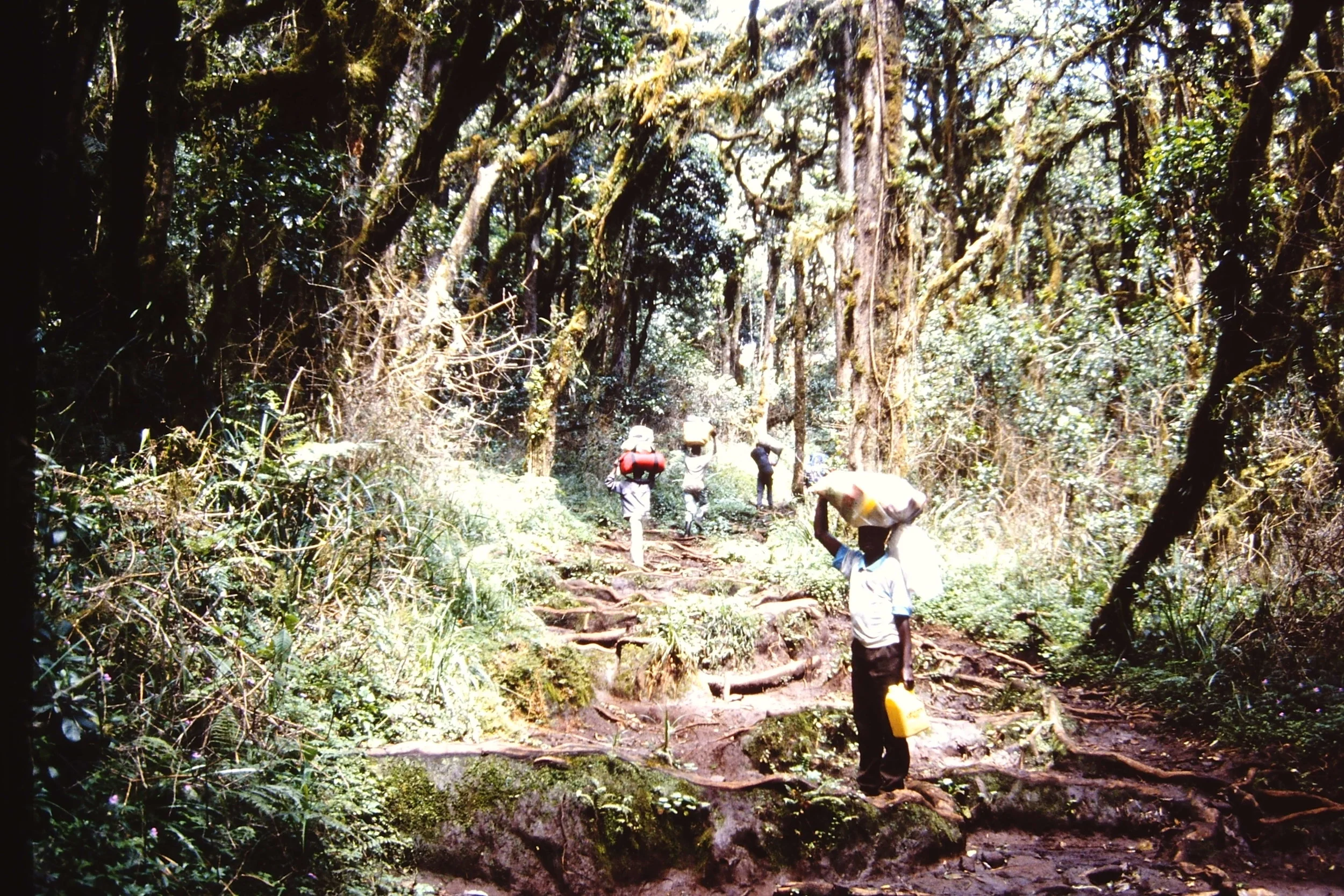 Porters on the First Day