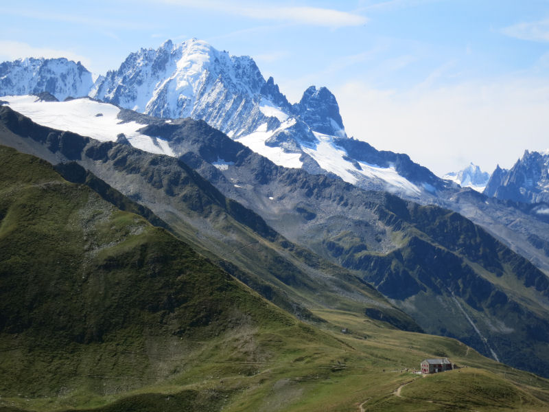 Refuge with Backdrop