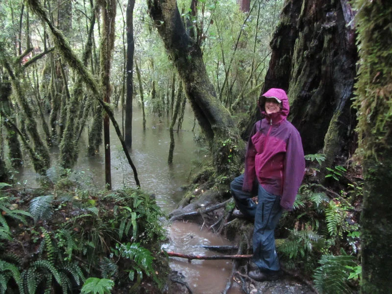 Side Trail on the Milford Track