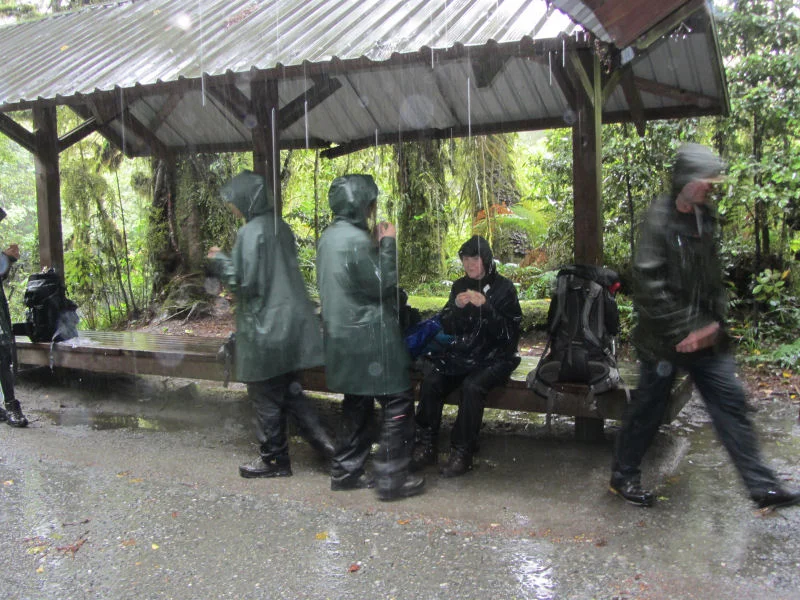 Lunch on the Milford Track