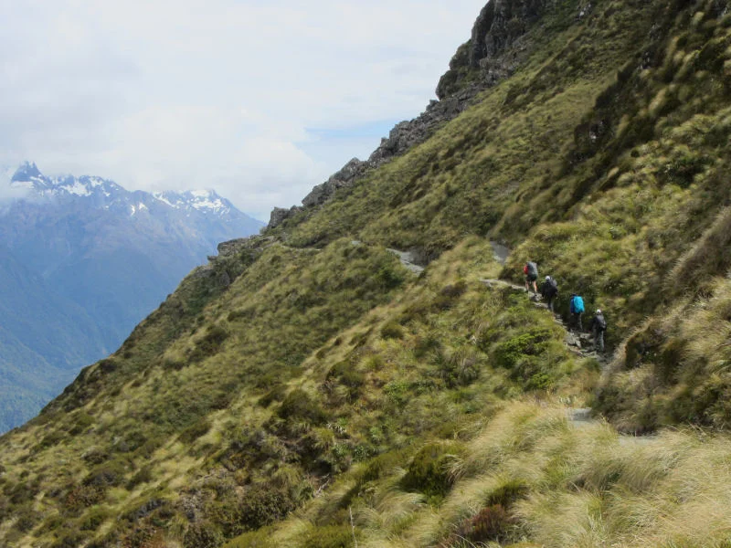 Ascending Toward Harris Saddle