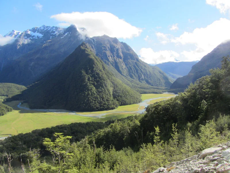 Routeburn Flats