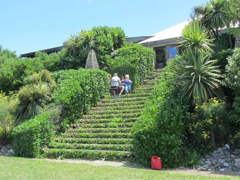 Back Steps of "The Store"