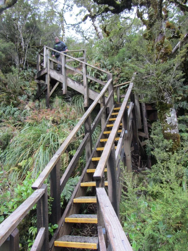 Steps on the Milford Track