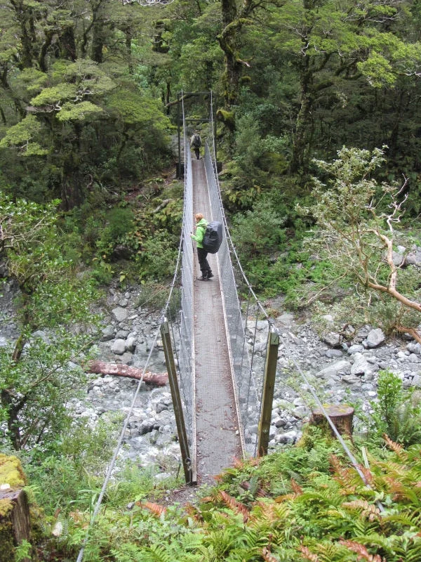 Hiker Bridge on the Trail
