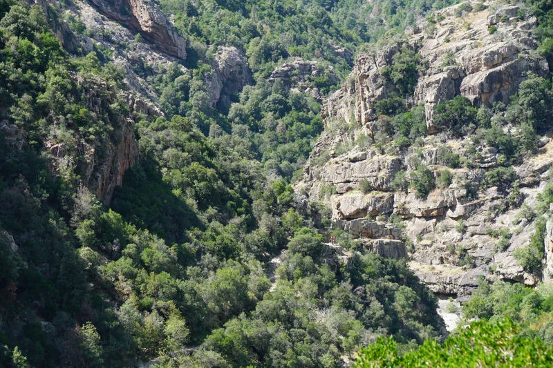 Our Hiking Trail
