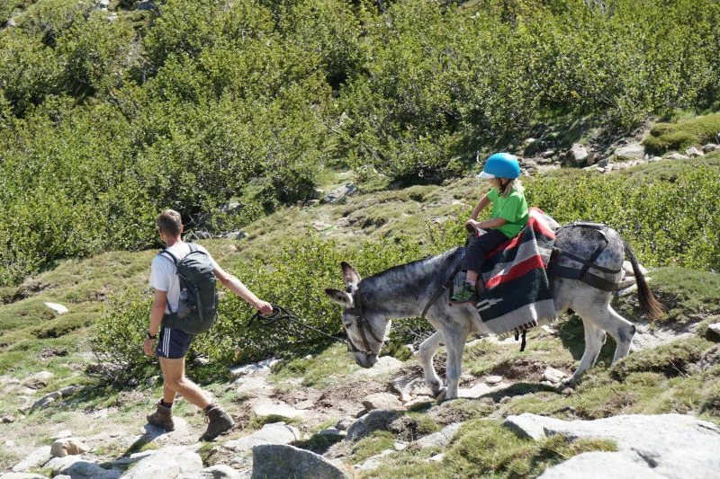 Donkey Hiking