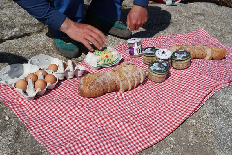 Trail Lunch