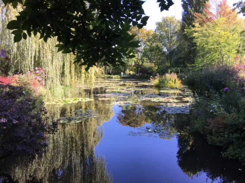 Monet's Pond