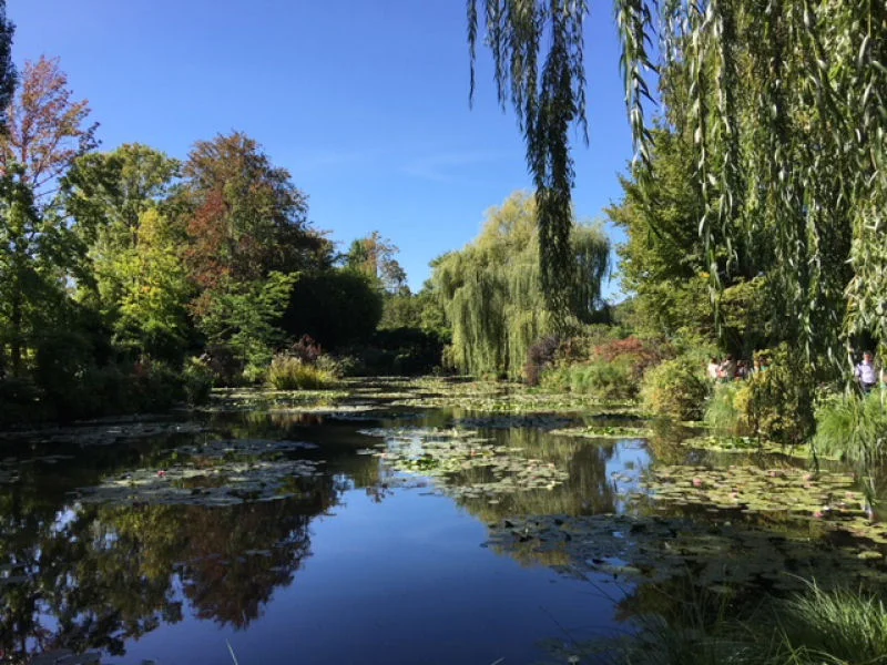 Monet's Pond #2