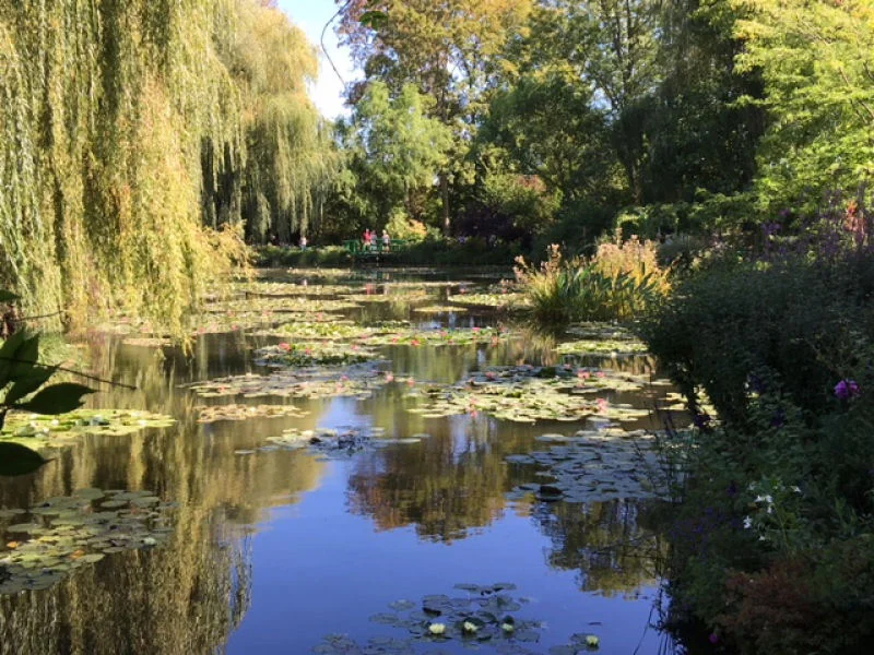 Monet's Pond #3