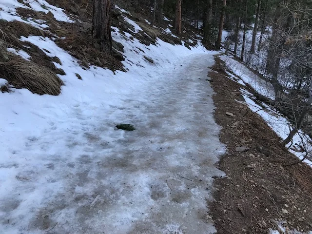 Turkey-Trot-Trail.jpg
