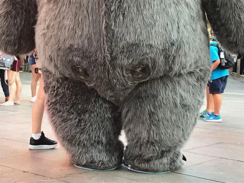 Bear Costume Air Conditioning