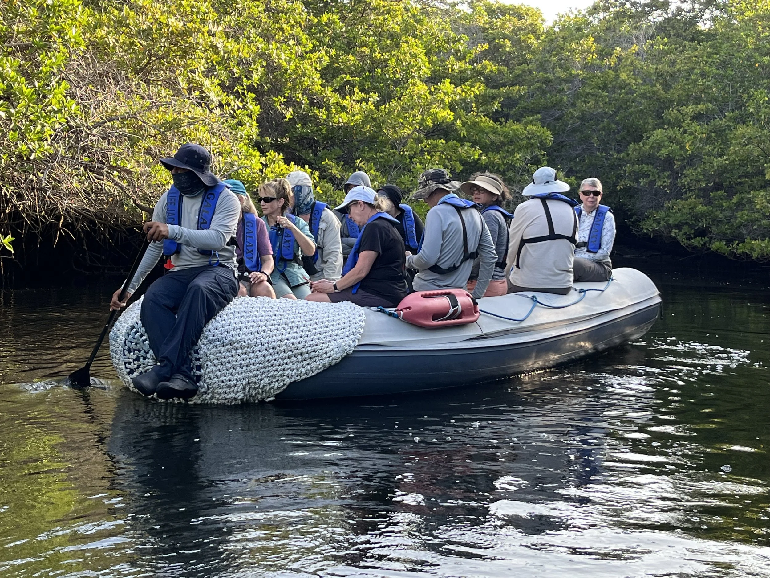 Too Shallow for the Outboard Engine in the Mangroves