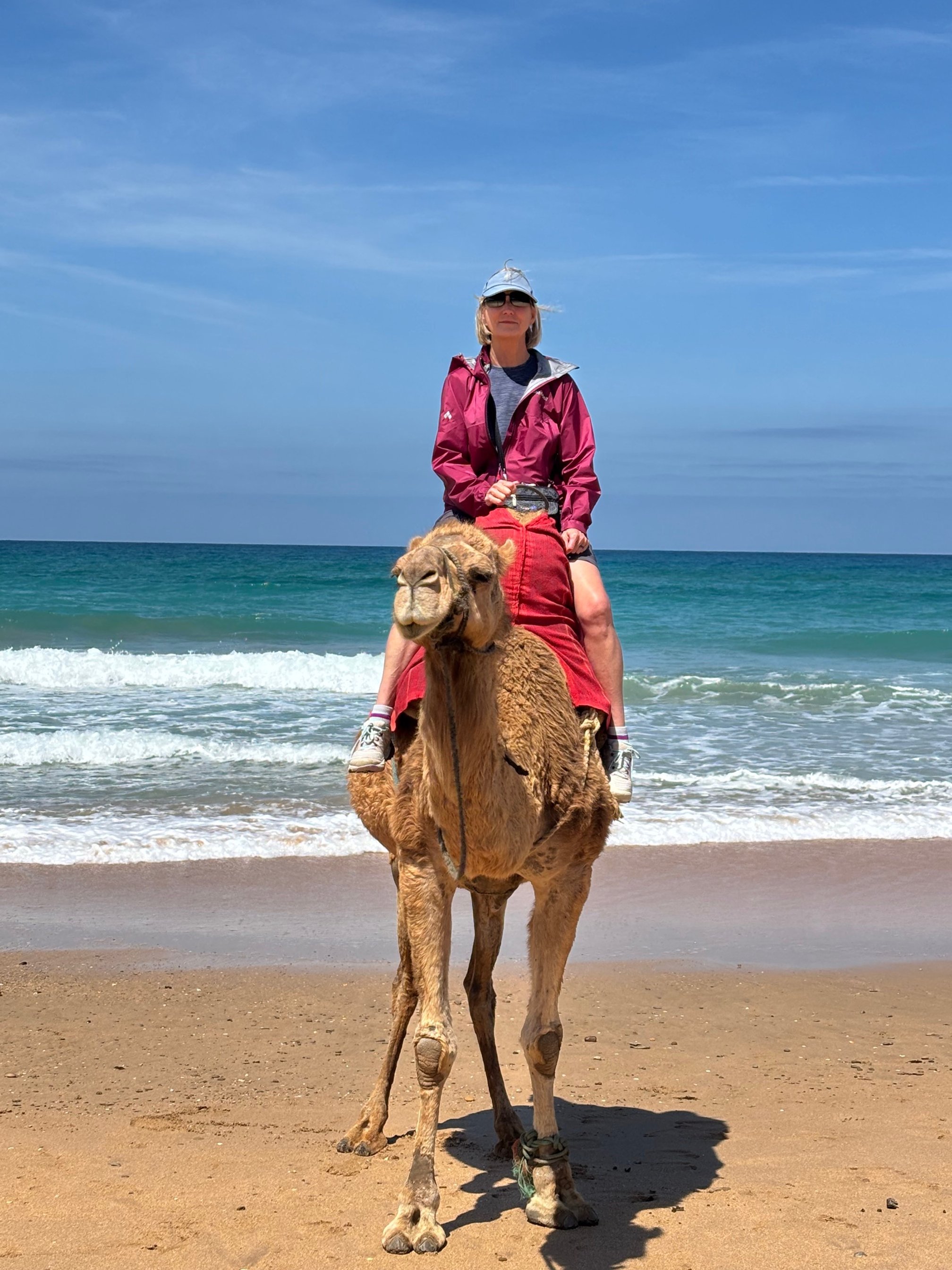 Melissa Commuting on a Camel