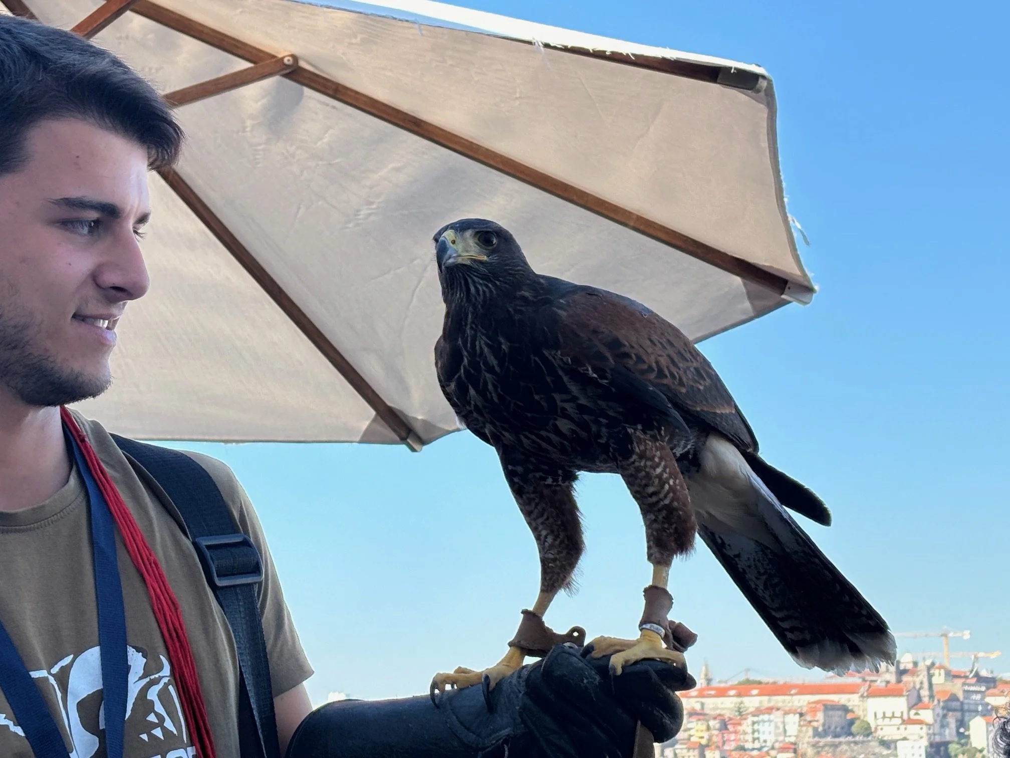 Falconer at the Yeatman Hotel, Porto