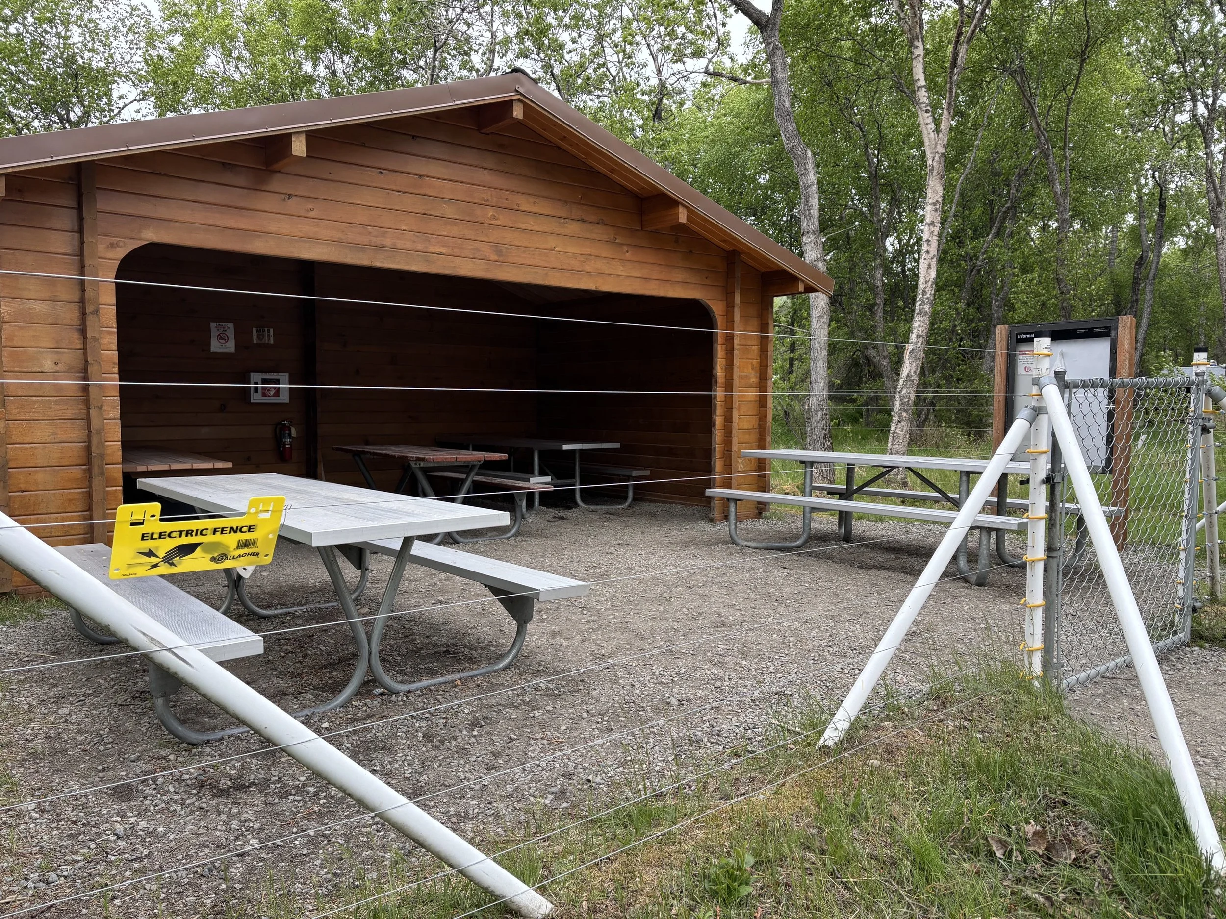 Electric Fence for Katmai Picnic Area