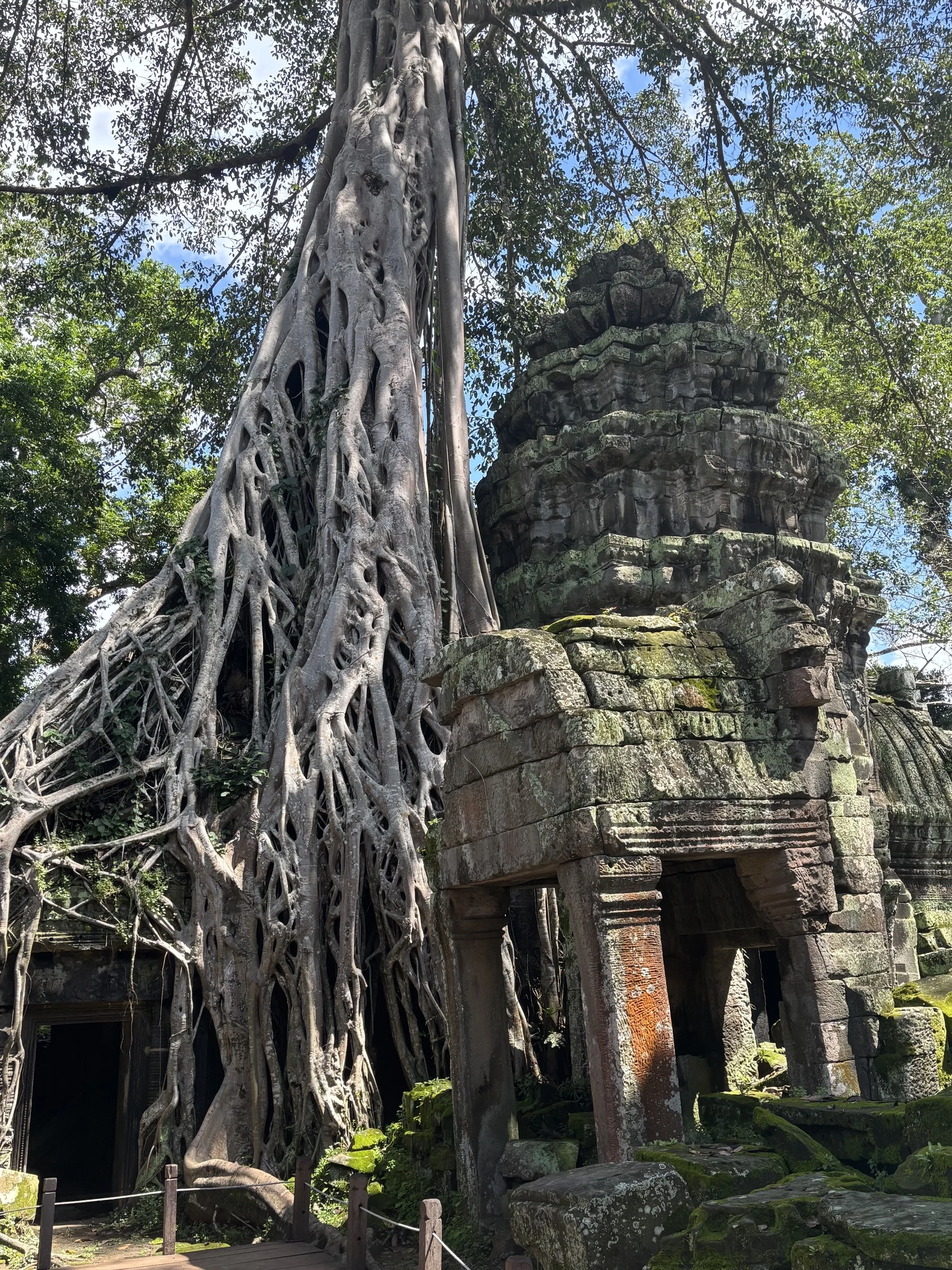 Tomb Raider Temple