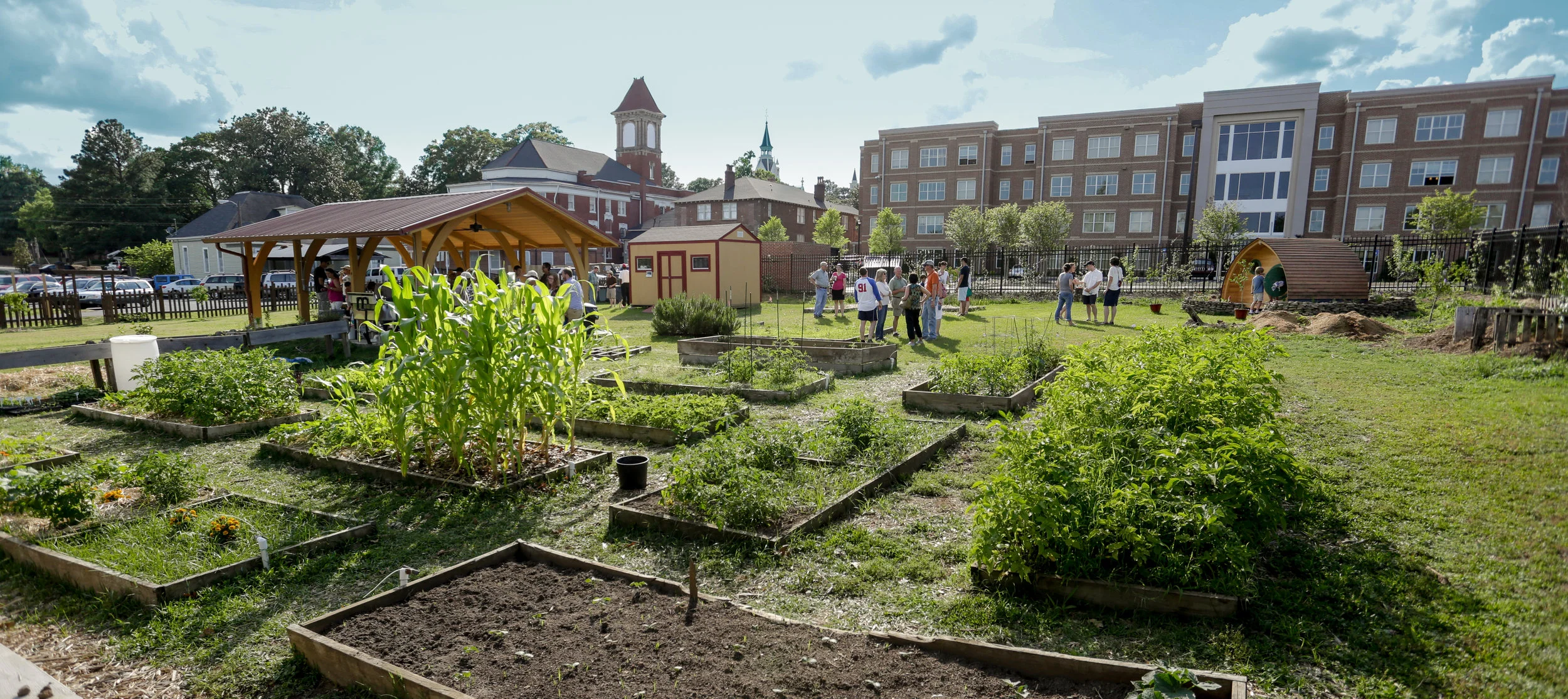 garden panoramic copy.jpg