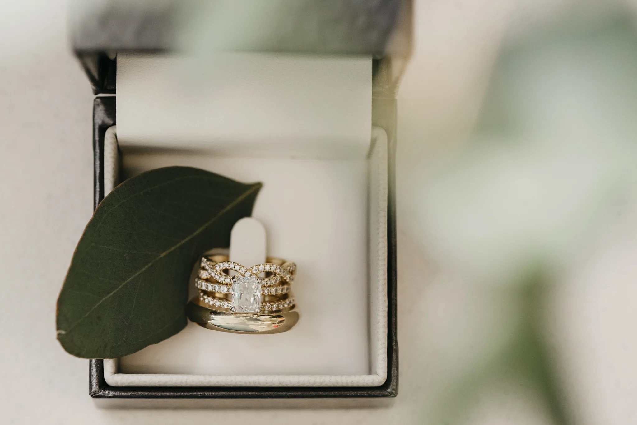 Bethany and Frank - Amber Garrett Photo-10.jpg