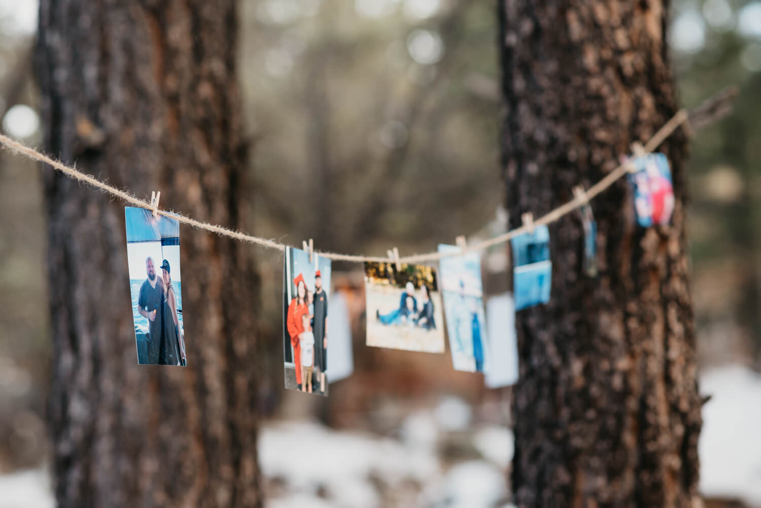 Hualapai Mountain Park Elopement - Amber Garrett Photography - 016.jpg