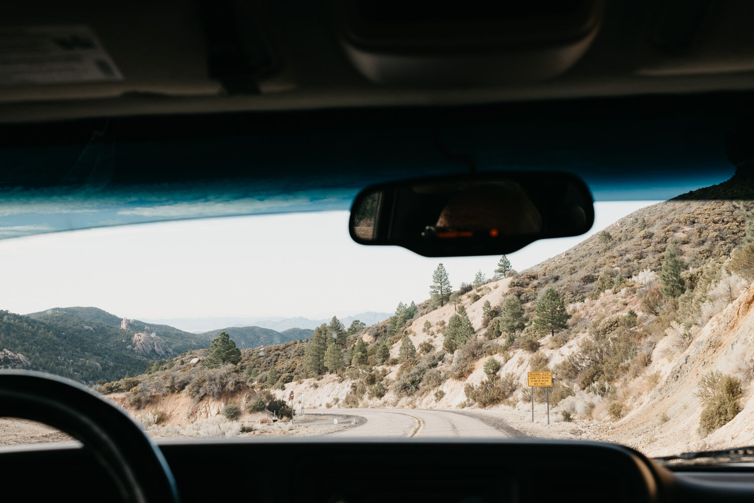 Hualapai Mountain Park Elopement - Amber Garrett Photography - 015.jpg