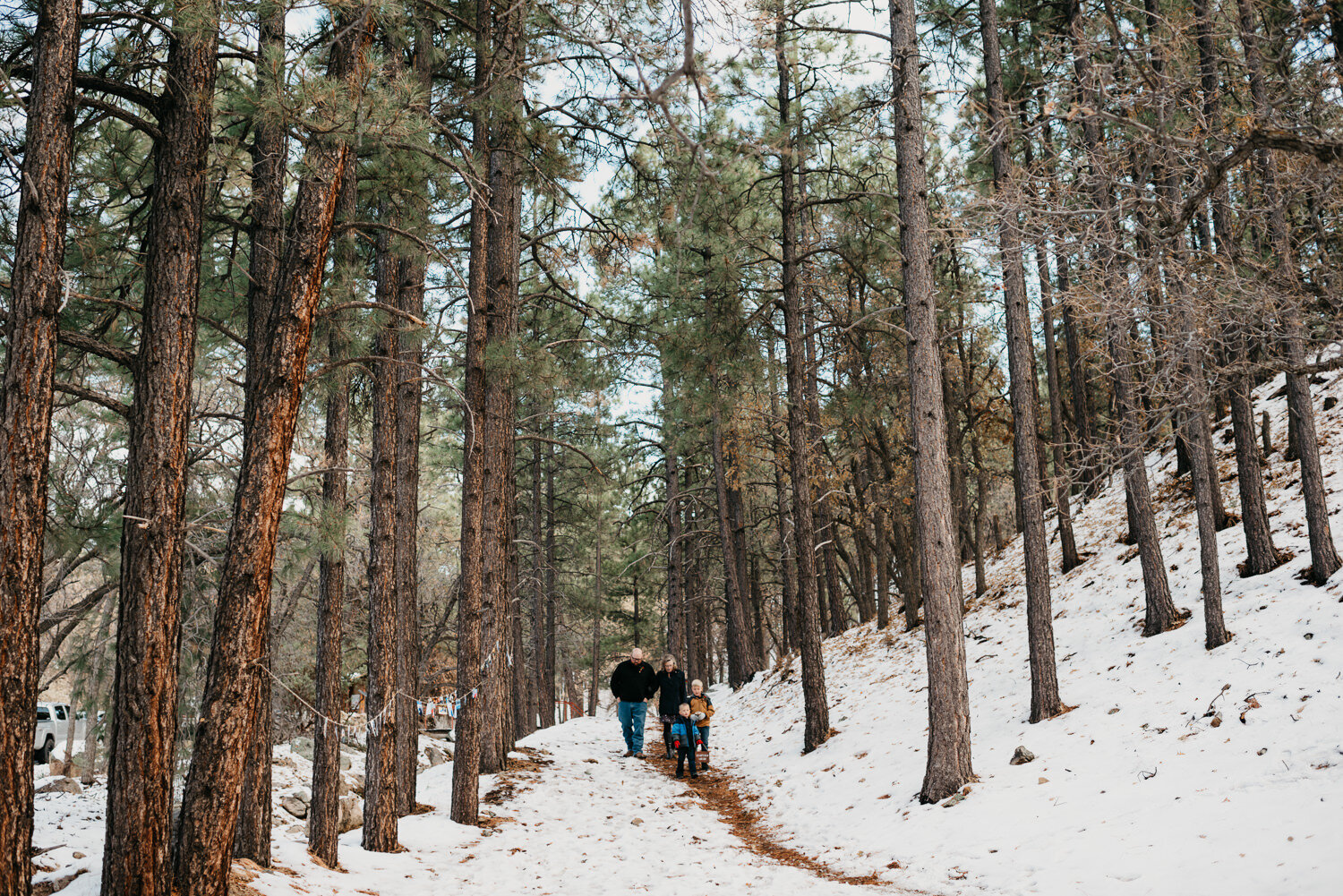 Hualapai Mountain Park Elopement - Amber Garrett Photography - 018.jpg